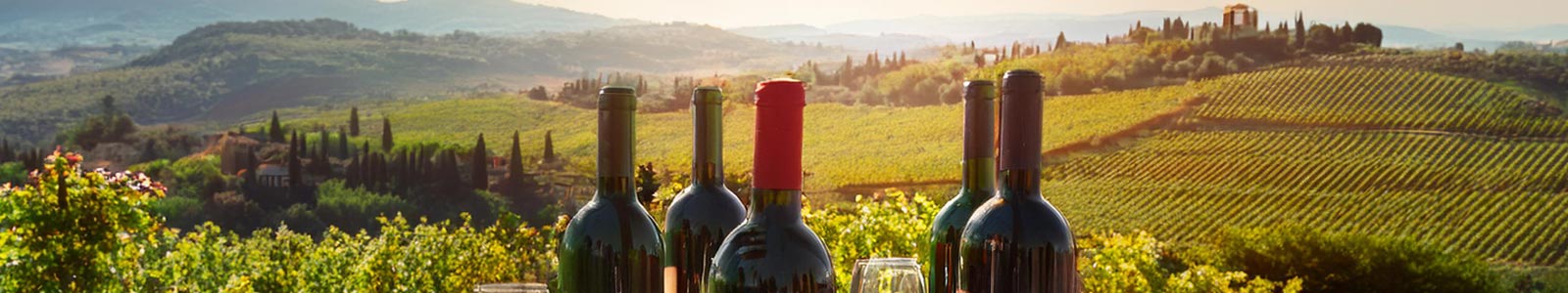 wine bottles with Abruzzo Italy landscae behind